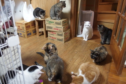 20140128home03.jpg