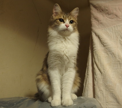 20140129home03.jpg