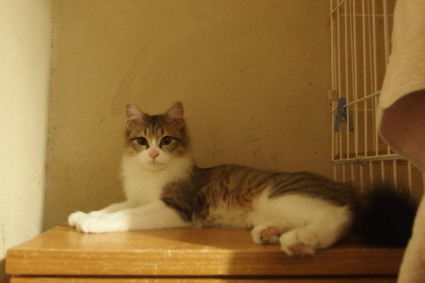 20140129home04.jpg