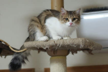 20140130home01.jpg