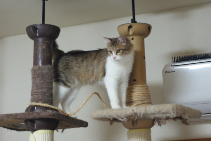 20140130home02.jpg