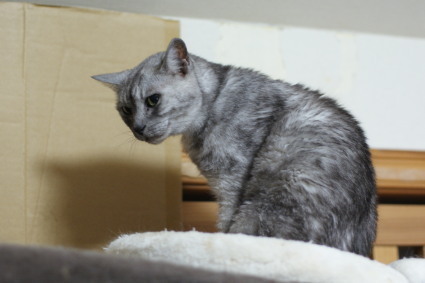 20140130home07.jpg