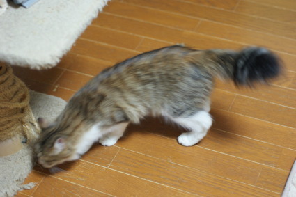20140130home10.jpg