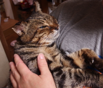 20140417jiiji01.jpg