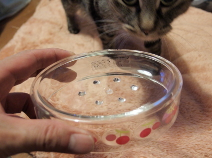 20140428shiro04.jpg