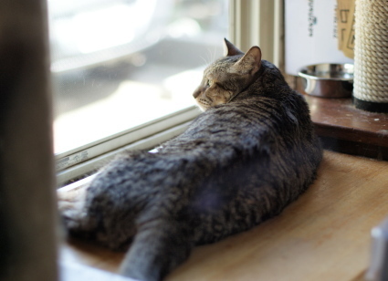20140518mei01.jpg