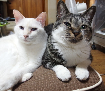 20140519home01.jpg