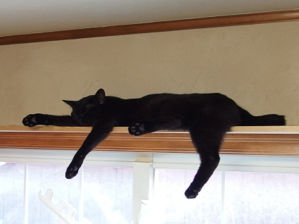 20140531kuu01.jpg