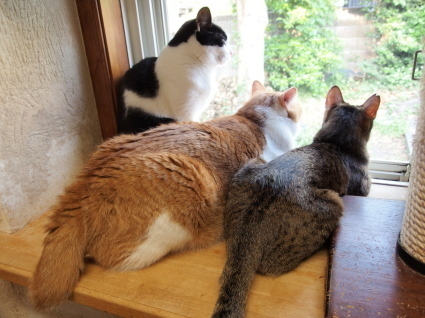 20140531sora01.jpg
