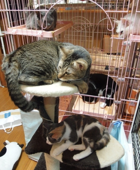 20140817home01.jpg