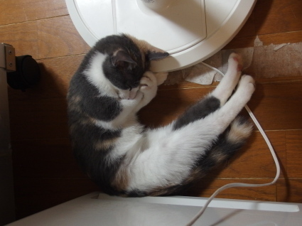 20140825nagi01.jpg