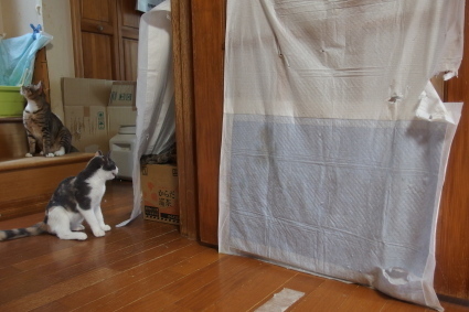 20140829home01.jpg