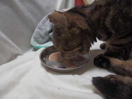 20140917jiiji01.jpg