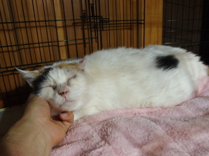 20140924oomike01.jpg