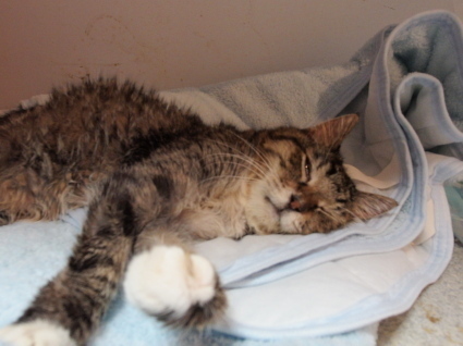 20140924ururu01.jpg