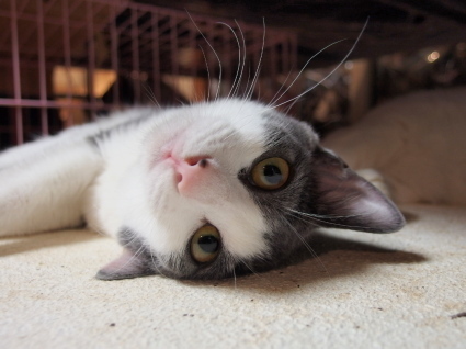 20140926nagi01.jpg