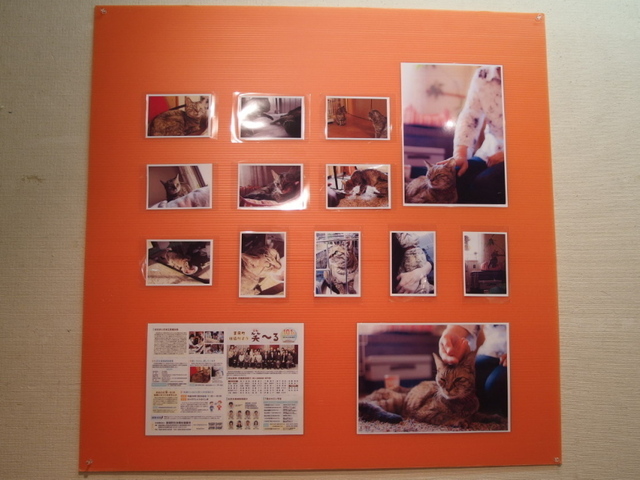 20140928yokohama02.jpg