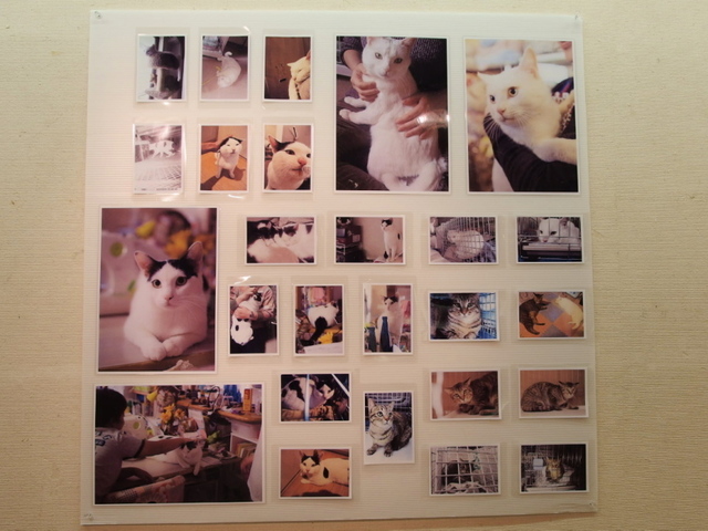 20140928yokohama03.jpg