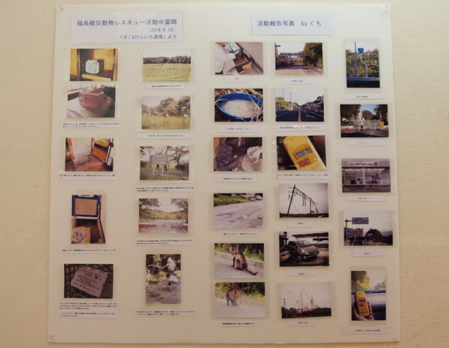 20140928yokohama04.jpg