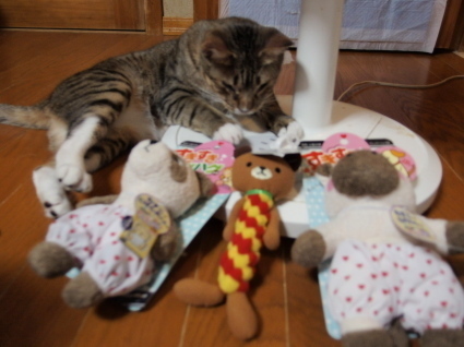 20140929home02.jpg
