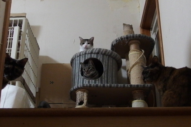 20141008ryuu01.jpg