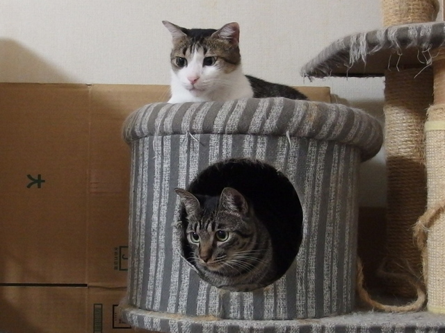 20141008ryuu02.jpg