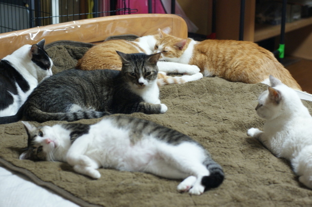 20141027ryuu01.jpg