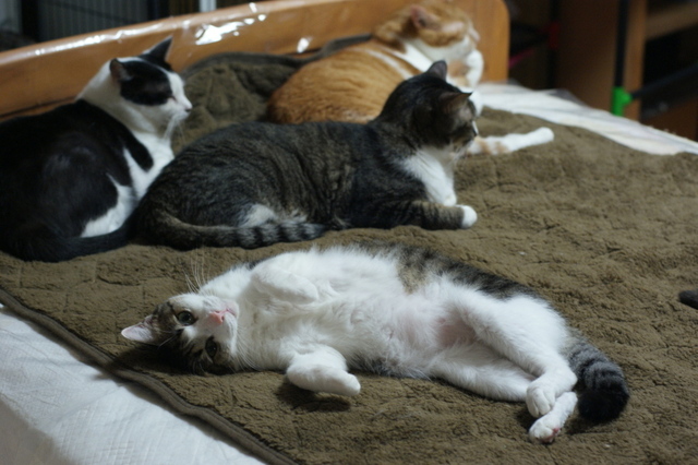 20141027ryuu02.jpg