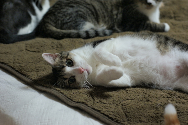 20141027ryuu03.jpg
