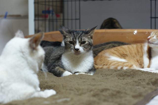 20141027so-ma02.jpg