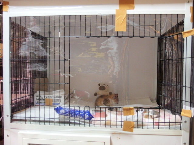 20141109mugi02.jpg