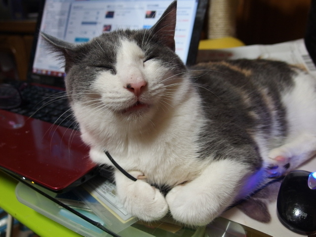 20141128nagi03.jpg
