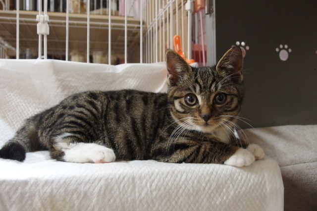 20141212kokoro01.jpg