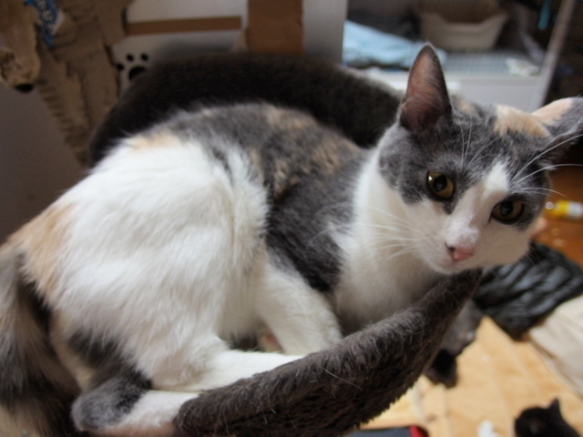 20141229nagi01.jpg
