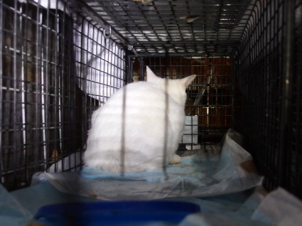 20150114koya04.jpg