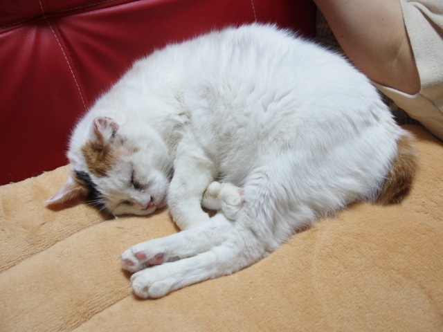 20150122oomike02.jpg