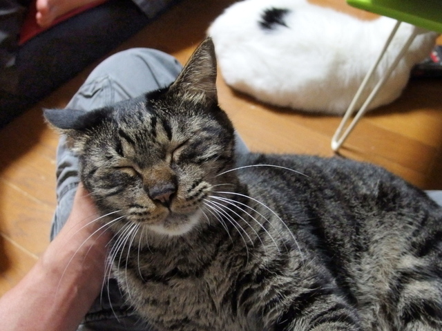 20150125lum02.jpg