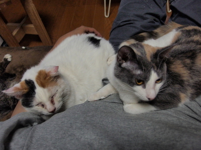 20150129nagi01.jpg