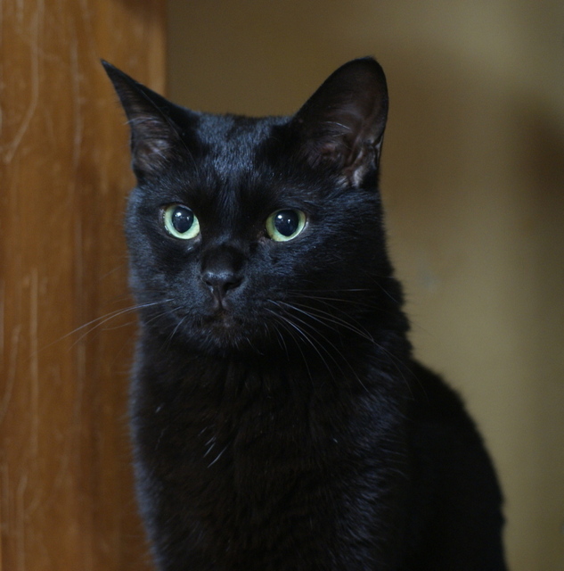 20150225kuu01.jpg