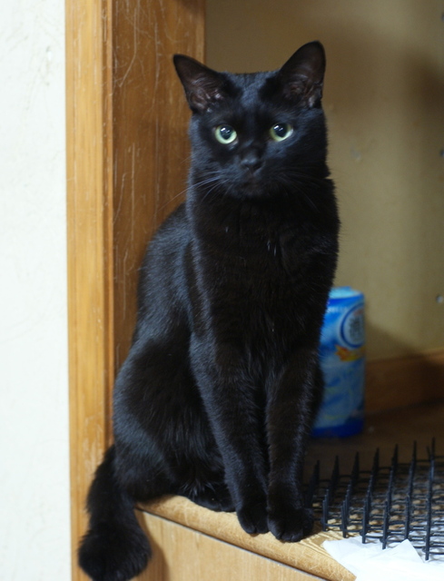 20150225kuu02.jpg