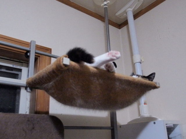 20150323mikeyo01.jpg
