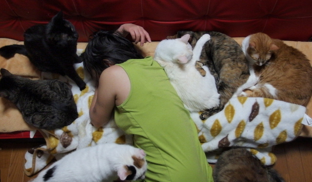 20150327eri01.jpg