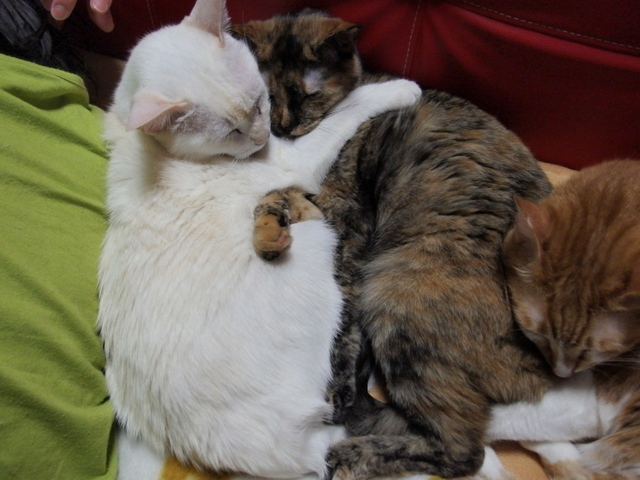20150327eri02.jpg