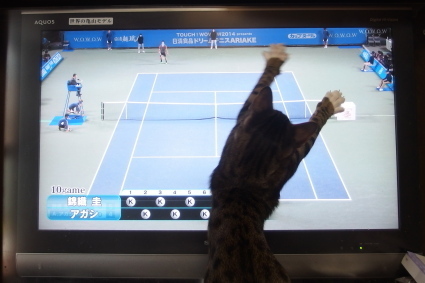 20150419kokoro01.jpg