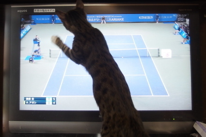 20150419kokoro02.jpg