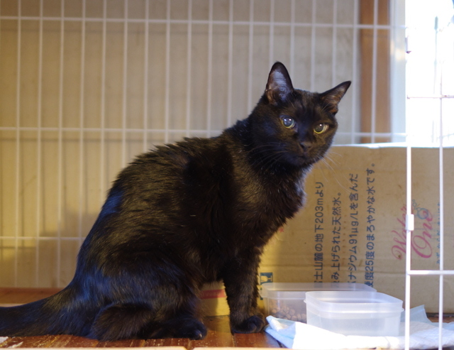 20150524sachi01.jpg