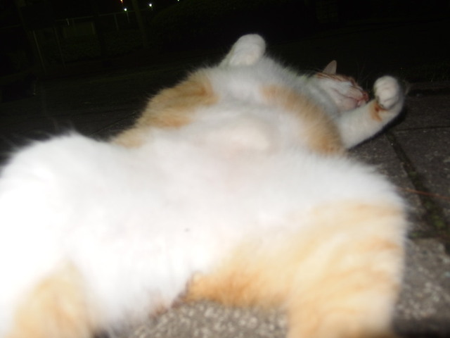 20150627park01.jpg