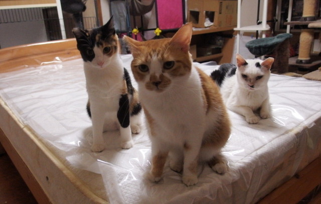 20150630home01.jpg