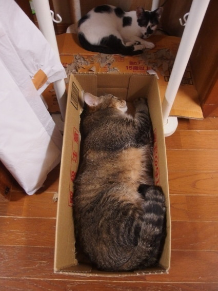 20150701fuku01.jpg