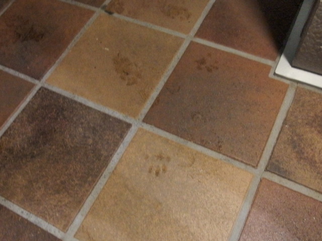 20150704home01.jpg